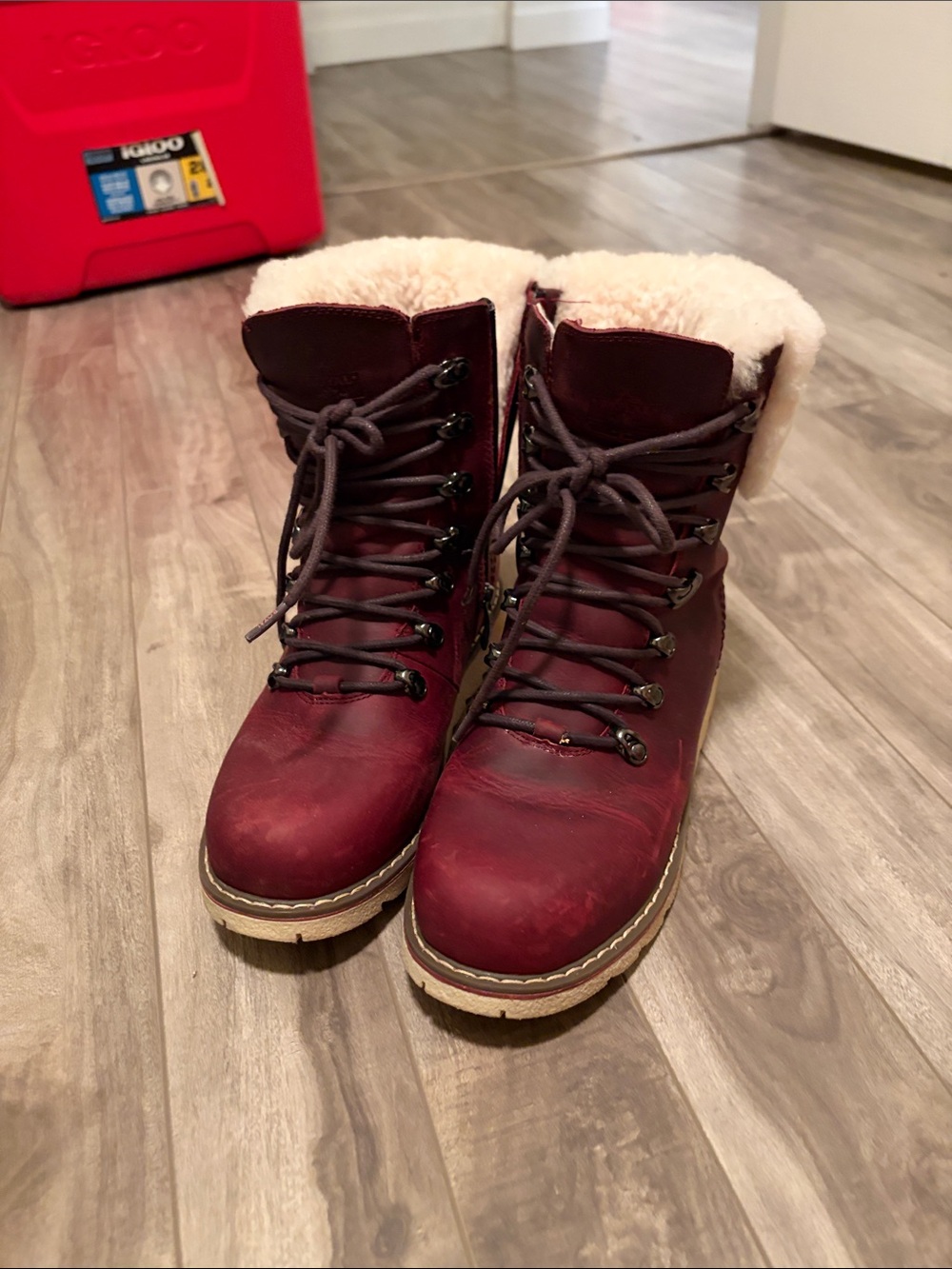 Royal Canadian Women’s Burgundy The Daily Commuter